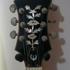 ギター　epiphone swingster wrの画像