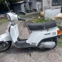 SUZUKI Gemma125 原付スクーターの画像