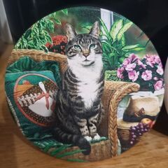 ⚠️0円出品⚠️猫デザイン コースター2枚の画像