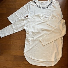 ✨白Ｔシャツまとめて♪✨の画像