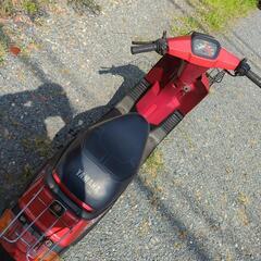 ペリカンジョグ　引取限定　近ければ運びます。の画像