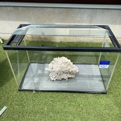 60cm水槽　水槽台　珊瑚　ガラス蓋　セットでの画像