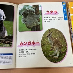 2歳　４歳絵本　百科　あいうえお　録音の画像