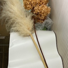 おしゃれなドライフラワーの画像