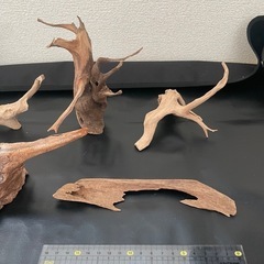 ADAブランチウッド3つとその他流木2つの画像