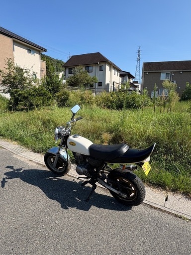 エイプ 実動50 キタコボアアップ