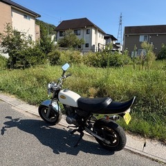 エイプ 実動50 キタコボアアップの画像