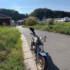 エイプ 実動50 キタコボアアップの画像