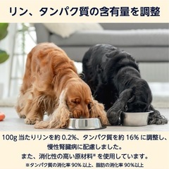 ドッグフード　3kg×3袋セット 腎臓ケア　の画像