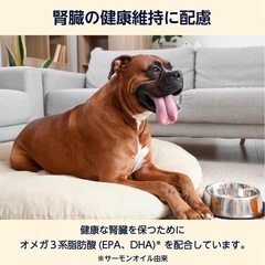 ドッグフード　3kg×3袋セット 腎臓ケア　の画像