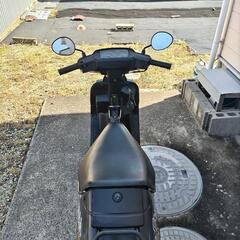 スズキセピア2stの画像