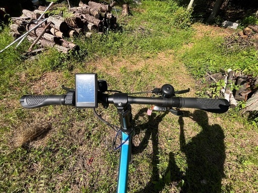 電動アシスト自転車　Endragway Carbon Age