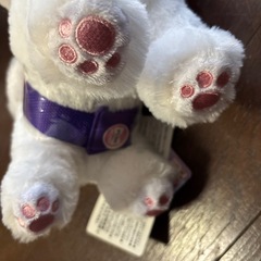 ふわねこミューちゃん
の画像