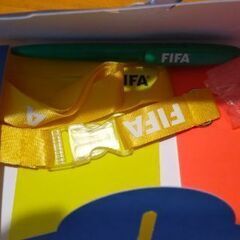 FIFA国際サッカー連盟(スイス)訪問時のお土産の画像