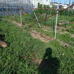 切木あげます。の画像