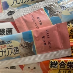 ペットベッド　猫　枝豆　ちゅーるセットの画像