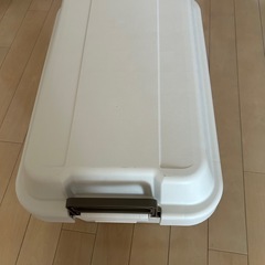 トランクカーゴ　リス　収納ボックスの画像