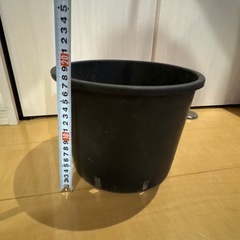 鉢まとめ売りの画像