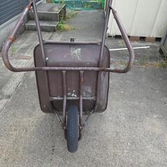 一輪車　ねこの画像