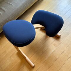 【　無　料　】子どもも大人も使える椅子（バランスチェアイージー）の画像