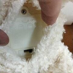 0830-413 ココさかだちしての画像