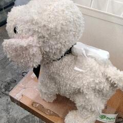 0830-413 ココさかだちしての画像