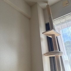 キャットタワーの画像