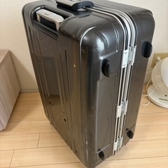 [エバウィン] 軽量スーツケース Be Light 静音キャスター 94L 30 cm 4.5kgの画像