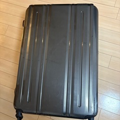 [エバウィン] 軽量スーツケース Be Light 静音キャスター 94L 30 cm 4.5kgの画像