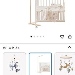 メリーの画像