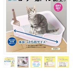 🐈🐾猫トイレ さんかく🔼の画像