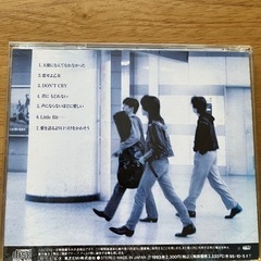 WANDS アルバム「Little Bit…」の画像