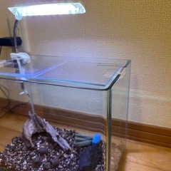 人気の角丸水槽セットの画像