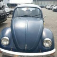 希少タイプ1ビートル　大切にしていただける方への画像