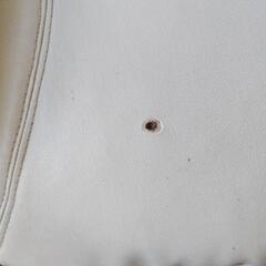 9月15日迄。回転座椅子(定型文は❌)の画像