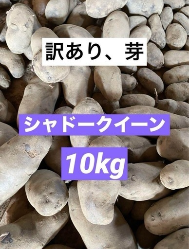 【訳あり・芽】魅惑の紫♪シャドークイーン　じゃがいも10kg