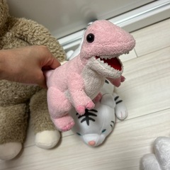 欲しいぬいぐるみだけでもokの画像