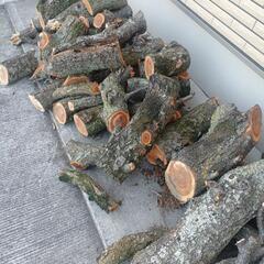 焚き木の画像