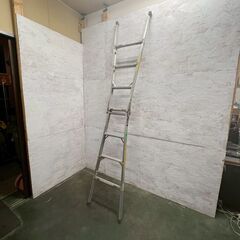 セガワ KL-12 長谷川工業 アルミ製 脚立 アルミ脚立 DIY 工具 作業用 折りたたみ式 脚立 ⑧ A0286の画像