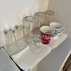ニトリ　食器の画像