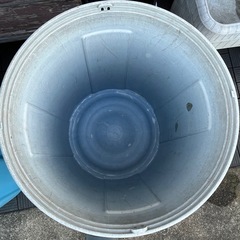 タライ　たらい　バケツ　桶　トロ舟　プラ舟　容器　メダカ　めだか　金魚　プール　ビオトープの画像