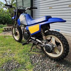 　ヤマハ PW50 キッズ モトクロス の画像