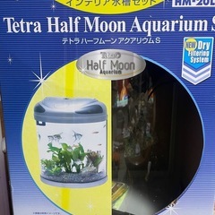 インテリア水槽の画像