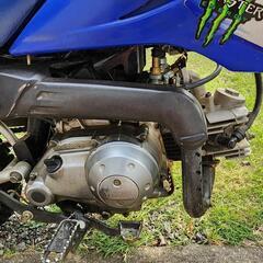 ヤマハ TTR50E キッズ モトクロスの画像