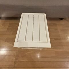 収納ケース（幅39cm×奥行53cm×高さ30cm）の画像