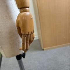 子供　キッズ　トルソーの画像