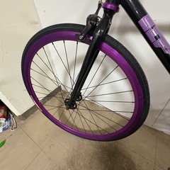 SE BIKESのシングルスピードバイク「LAGER（ラガー）」の画像