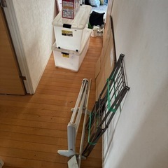 全て無料の画像