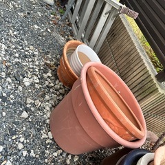 大量！植木鉢の画像