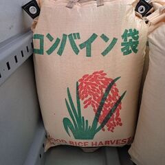 完売御礼！今朝とれたて野菜　籾米もありますの画像
